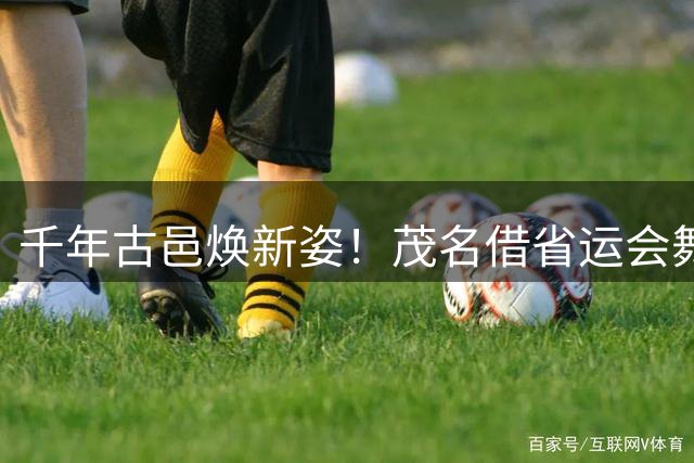 千年古邑焕新姿！茂名借省运会舞台演绎"五棵树一条鱼"产业传奇